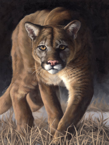 Emerging (Cougar)