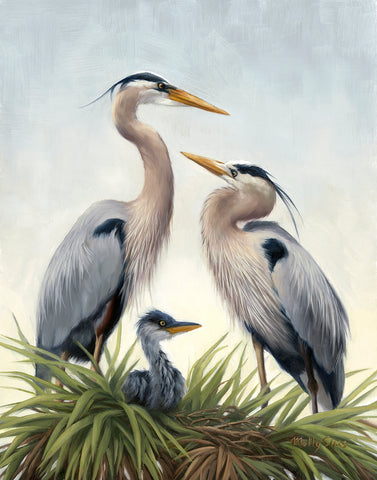 Young Family (Herons)