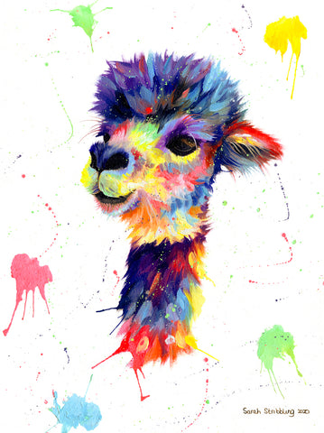 Colorful Alpaca