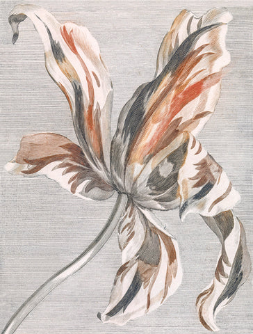 Tulip -  Johan Teyler - McGaw Graphics