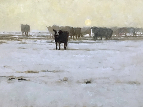 Cows at Sunset -  Todd Telander - McGaw Graphics