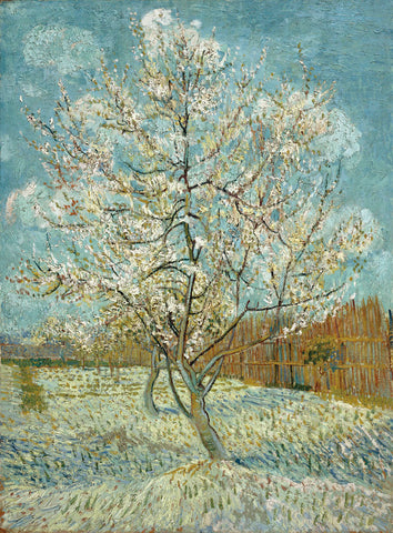 The Pink Peach Tree, 1888 -  Vincent van Gogh - McGaw Graphics