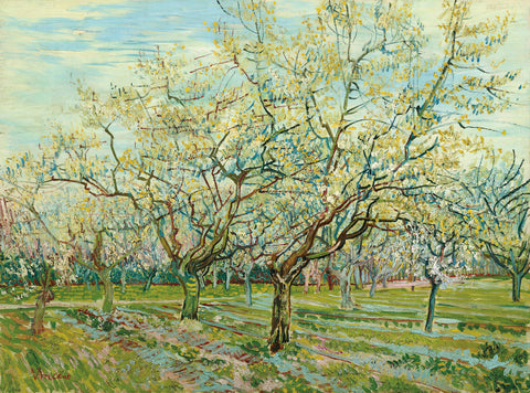 The White Orchard, 1888 -  Vincent van Gogh - McGaw Graphics