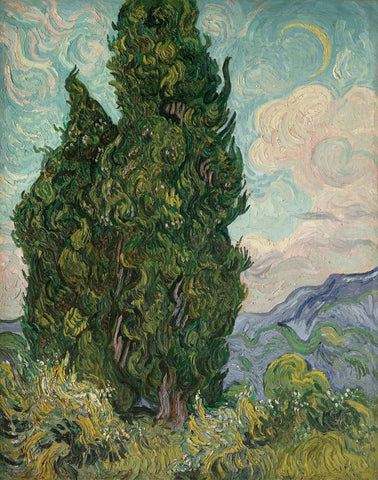 Cypresses, 1889 -  Vincent van Gogh - McGaw Graphics
