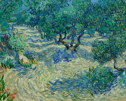 Olive Orchard, 1889 -  Vincent van Gogh - McGaw Graphics