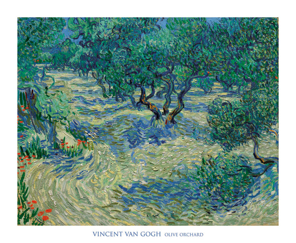 Olive Orchard, 1889 | McGaw Graphics