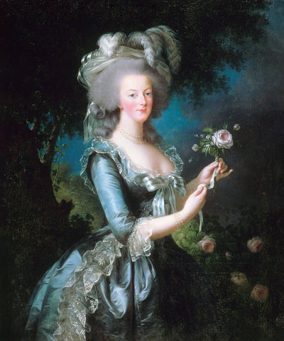 Marie-Antoinette with the Rose, 1783 -  Elisabeth-Louise Vigee Le Brun - McGaw Graphics