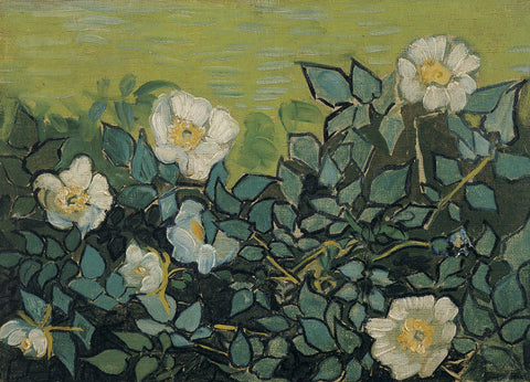 Wild Roses, 1890 -  Vincent van Gogh - McGaw Graphics