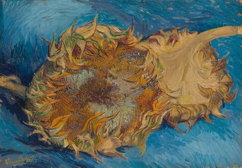 Sunflowers,1887 -  Vincent van Gogh - McGaw Graphics