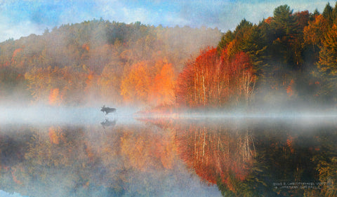 Leverett Pond Sunrise -  Chris Vest - McGaw Graphics