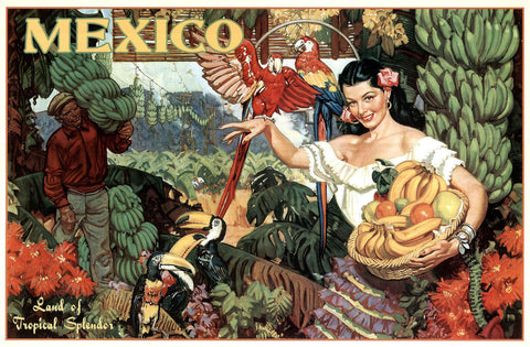 Mexico - Bananas -  Vintage Sophie - McGaw Graphics