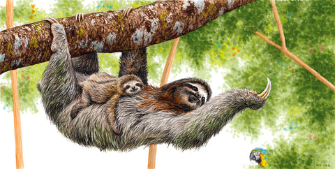 Jungle Stroll - Three-toed Sloth