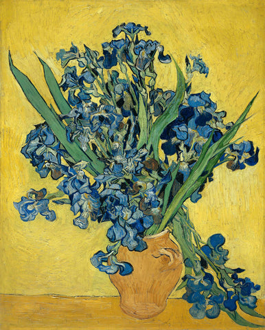 Irises in Vase -  Vincent van Gogh - McGaw Graphics