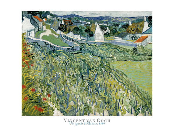 Vineyards at Auvers, 1890 | McGaw Graphics