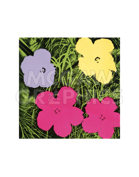 innocentGrey　FLOWERS Art Works Couleur Whimsical Gardens 50 Exotic Flowers in Art Nouveau Grayscale