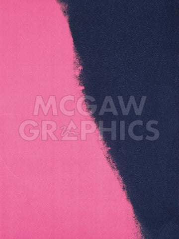 Shadows II, 1979 (pink) -  Andy Warhol - McGaw Graphics