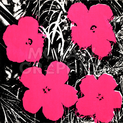 Flowers, 1965 (hot pink) -  Andy Warhol - McGaw Graphics