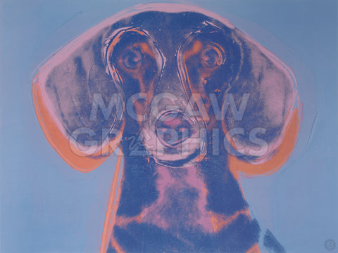 Portrait of Maurice, 1976 -  Andy Warhol - McGaw Graphics