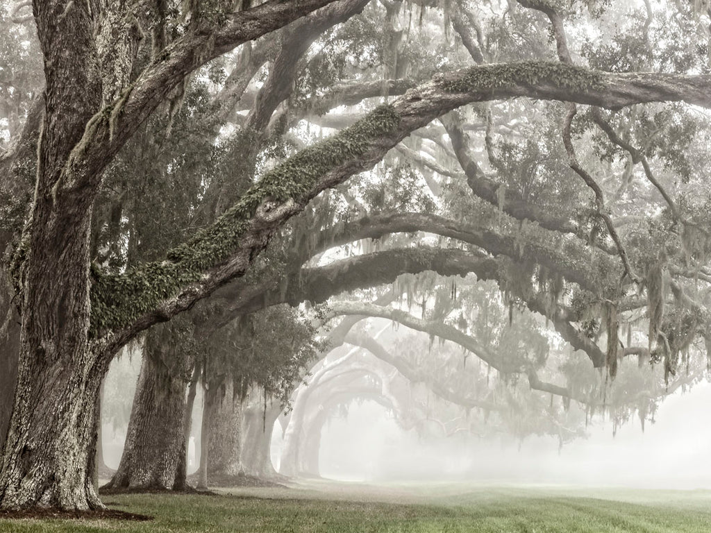 Introducing Photographer Barbara Northrup