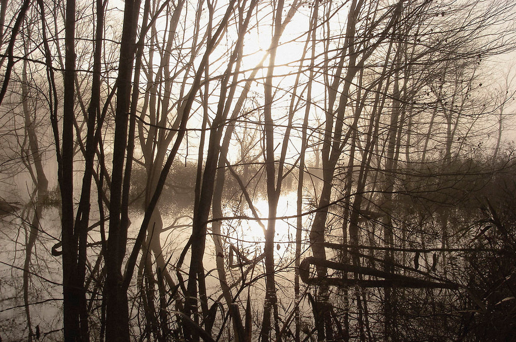 Introducing Photographer Erik Richards