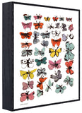 Butterflies, 1955 (many/varied colors) (Framed)