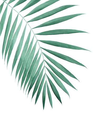 Tropical Palm Leaf