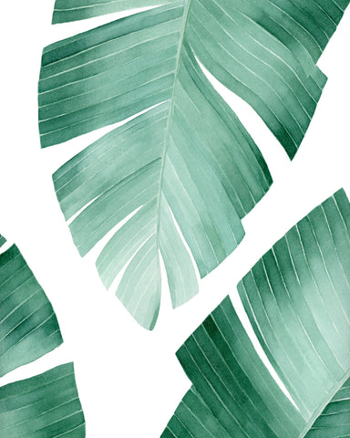 Tropical Banana Leaf