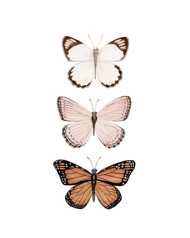 Butterfly Trio