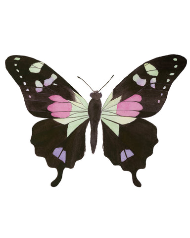 Pink and Green Butterfly - Graphium Weiskei Butterfly