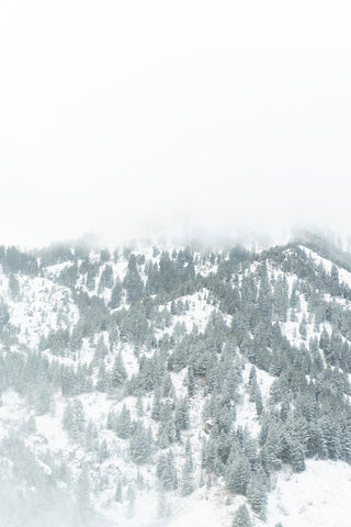 Winter Mountain