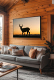 Sunset Silhouette of Deer Buck, Washington