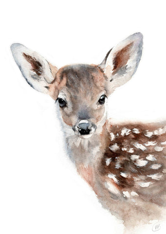 Baby Dee Fawn