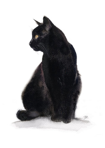 Black Cat