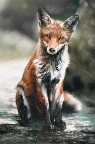 Fergus Fox