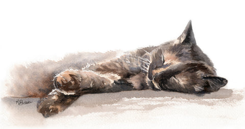 Fudge Sleeping