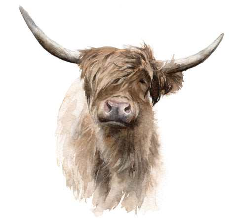 Highland Cow Josie