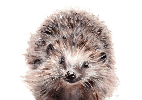 Holly Hedgehog