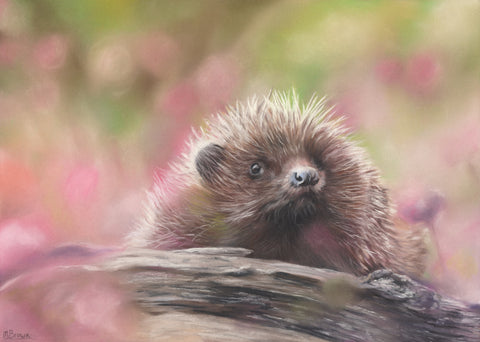 Horace Hedgehog ‘Spring Has Come’