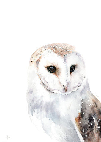 Orion Barn Owl