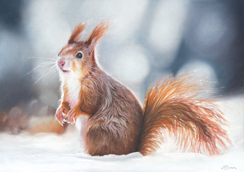 Pippa Red Squirrel