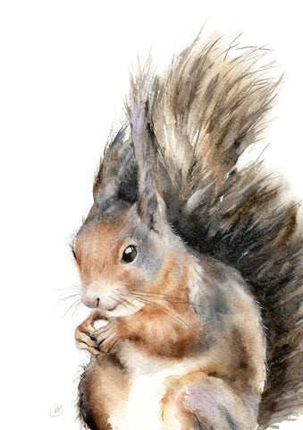 Connie Red Squirrel