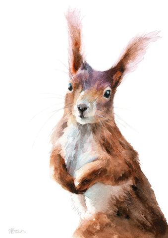 Ruby Squirrel