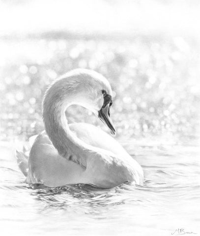 Serene Beauty