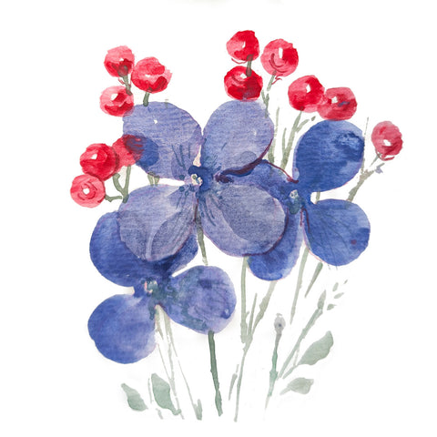 Blue and Red Berries and Flowers