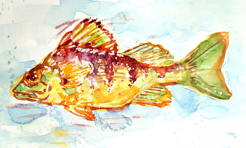 Guilty Fish