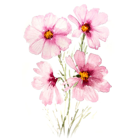 Pink Petals in Watercolor