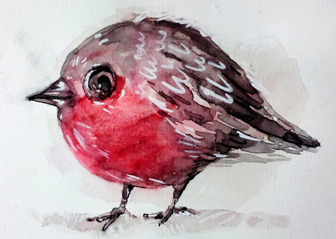Robin - A Study in Surprise