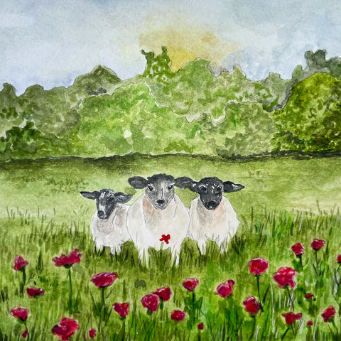 Social Sheep