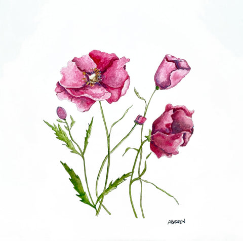 Poppycock