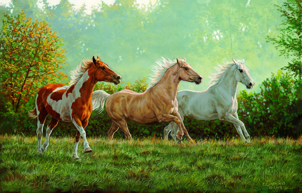 Fall Run | McGaw Graphics